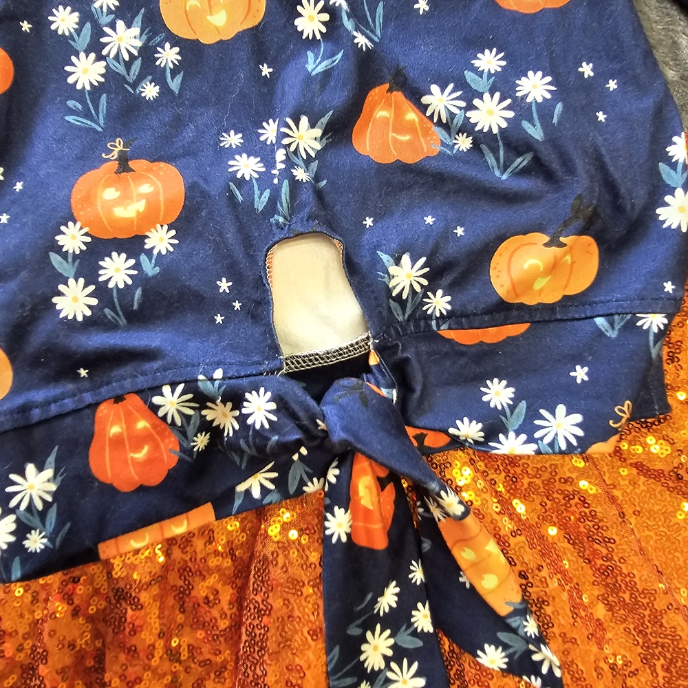 Kids Pumpkin Costume Set - Blue and Orange - Picture 4 of 6